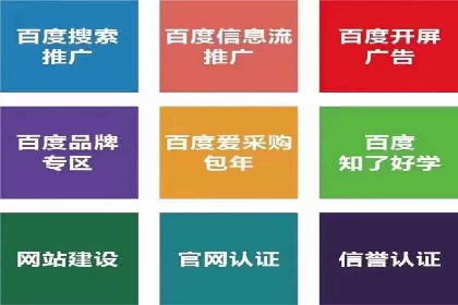 SEM广告创意与执行：成功案例分享